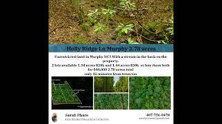 LAND For Sale! no restrictions Holly Ridge Ln, Murphy, NC