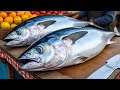 Everyday of My Life ❗🔥 Exploring Sorong Fish Market live broadcast of yellowfin tuna cutting