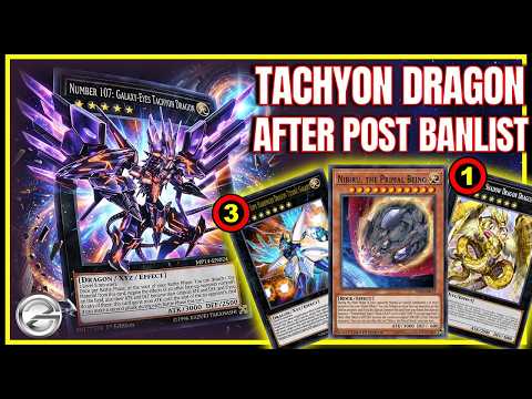 Tachyon Dragon After the Banlist – Can This Deck Still Compete in the Current Meta?