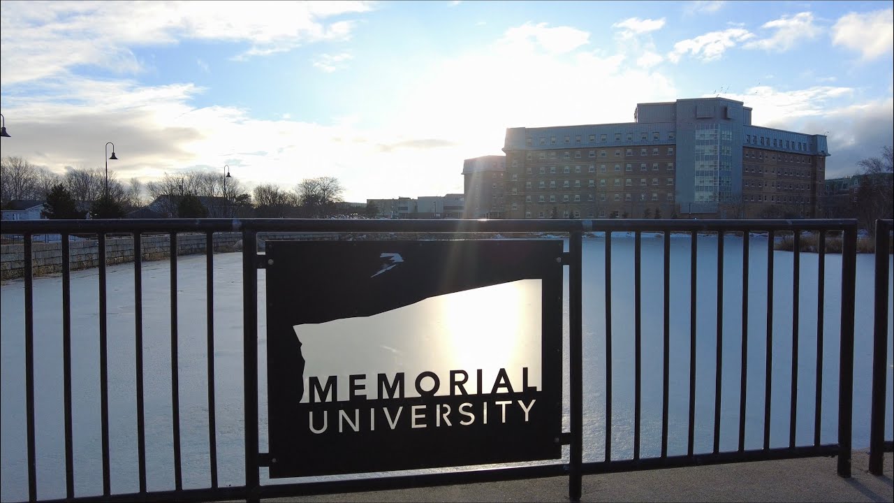 #39) St John's, NL, Canada : Walking on Memorial University Campus [4K]