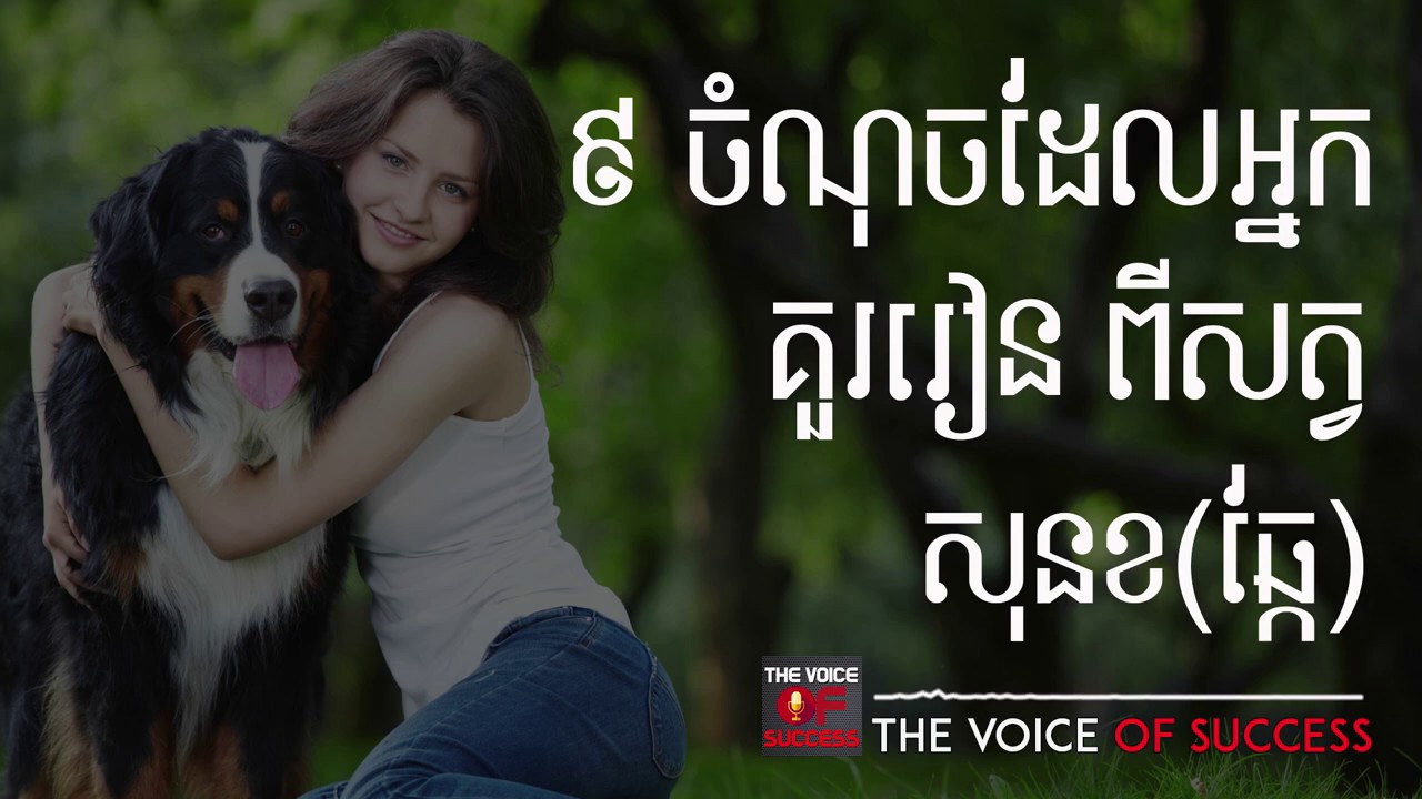 ៩ ចំណុចដែលអ្នកគួរតែរៀនពីសត្វសនខ(សត្វឆ្កែ)