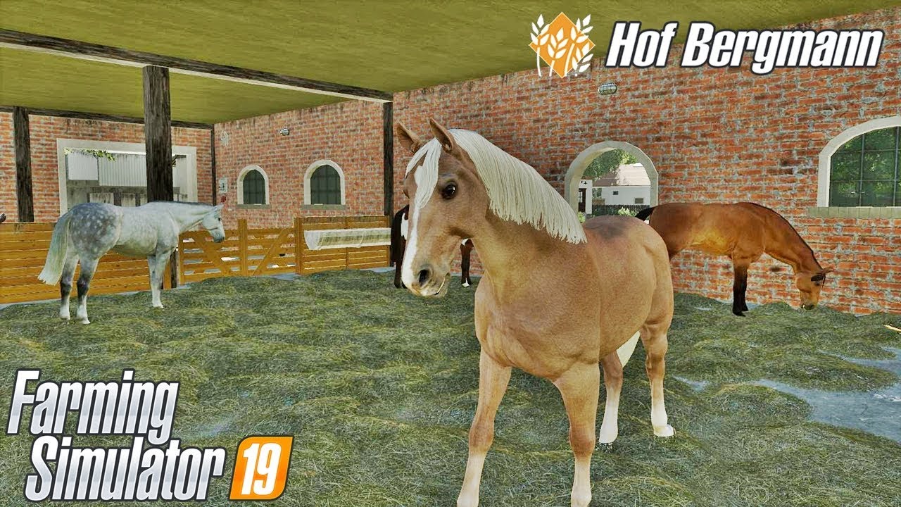 Stajnia, kupno koni i Horse Helper Hof Bergmann FS19 ☆ Farming