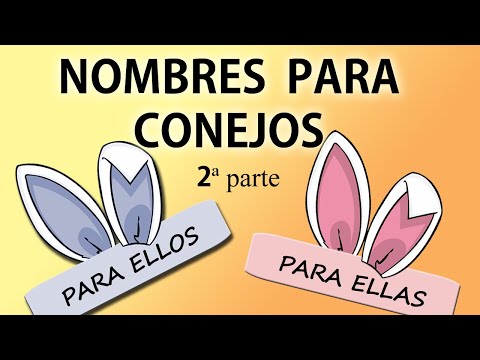 Video: Nombres de conejo: Cómo elegir un nombre para tu conejito