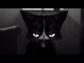 She wants me dead - Get it Meow