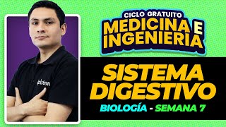 Ciclo Gratuito - Biología - Sistema Digestivo