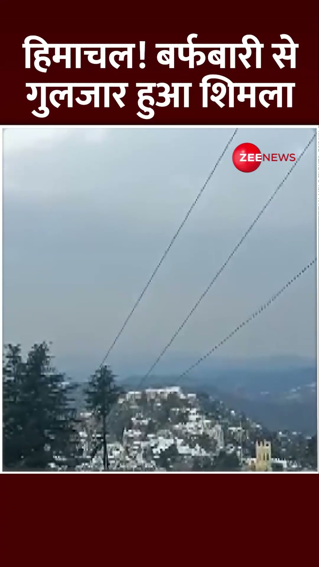 Shorts: हिमाचल! बर्फबारी से गुलजार हुआ शिमला | Himachal Pradesh snowfall | shimla | Winter | Video