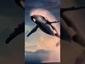 The Most Breathtaking Whale Video Ever: Giant Breach in ArcticSunset!"🐳🐋🌊