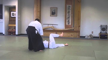 Yokomen Uchi Shihonage Irimi #3