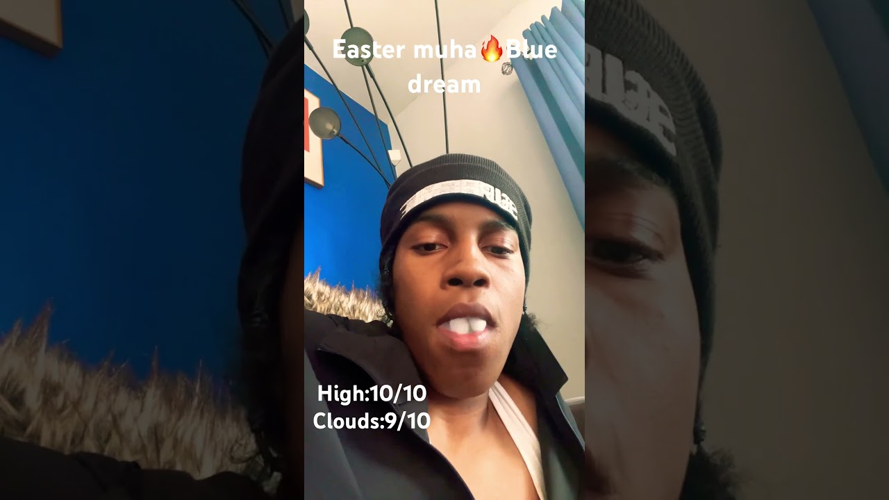 Muha meds Blue dream🥛👻