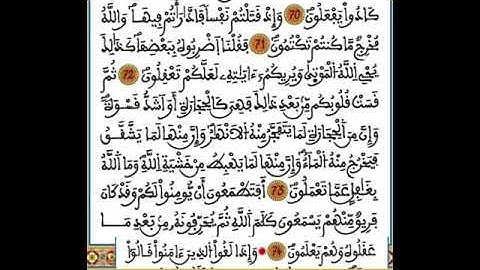 الربع الرابع من الحزب اﻷول سورة البقرة برواية ورش مكرر 7 مرات