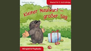 Kapitel 2: Ich will das Licht am Ende des Tunnels sehn - Gerhard A. Meyer