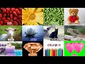 We Love All the Colors |Colors in English for Kids |Red Red Strawberries |Nursery Rhymes #colorsong