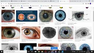 CS50’s Web Programming with Python and JavaScript - Project 0 (Google search pages)