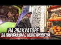 СтопХам - &quot;На эвакуаторе за пирожком с монтировкой&quot;