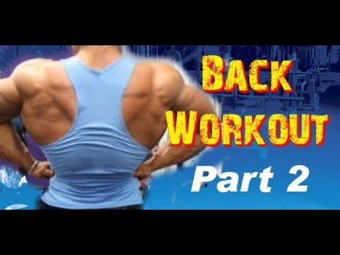 Back Workout Chart Image