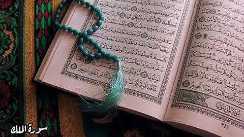 سورة الملك بصوت جميل ||• القارئ الشيخ ناصر القطامي