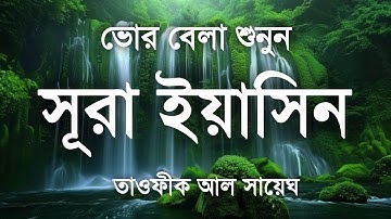 মধুর কন্ঠে তেলাওয়াত প্রতিদিন সকালে শুনুন সূরা ইয়াসিন (سورة يس) Surah Yaseen By TOWFEEQ AL SAYEGH