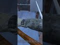 DayZ Double Elimination