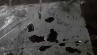 Mylar Capacitor Pop.