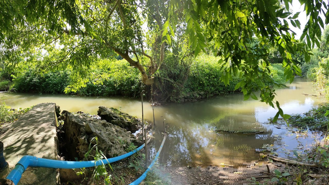 แปลงที่ดิน 8 ไร่กว่าๆด้านหน้าติดถนนหลวงท้ายที่ติดห้วยลำธาร