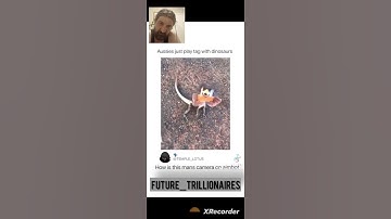 playing tag with little Dinosaur #dinosaur #funny #hilarious #comedy #aussie