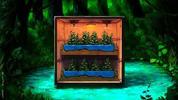 I built an ILLEGAL cloth cartel in rust...