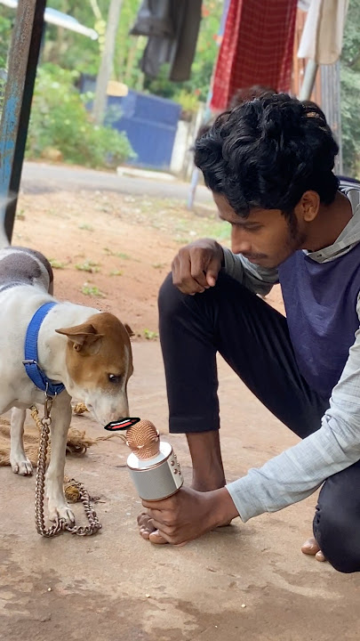 Dog song singing 🤣😂 #comedy #tamilcomedy #tamil #trollingtamila #funny #tamilfilms