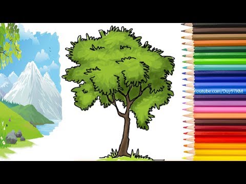 Video Hướng Dẫn Cách Vẽ Cây Xanh Đẹp Nhìn Như Thật - youtube