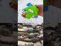 Kids Learn | Animal Names in the Snow: Crocodile Bat Elephant Sheep Bearded Dragon