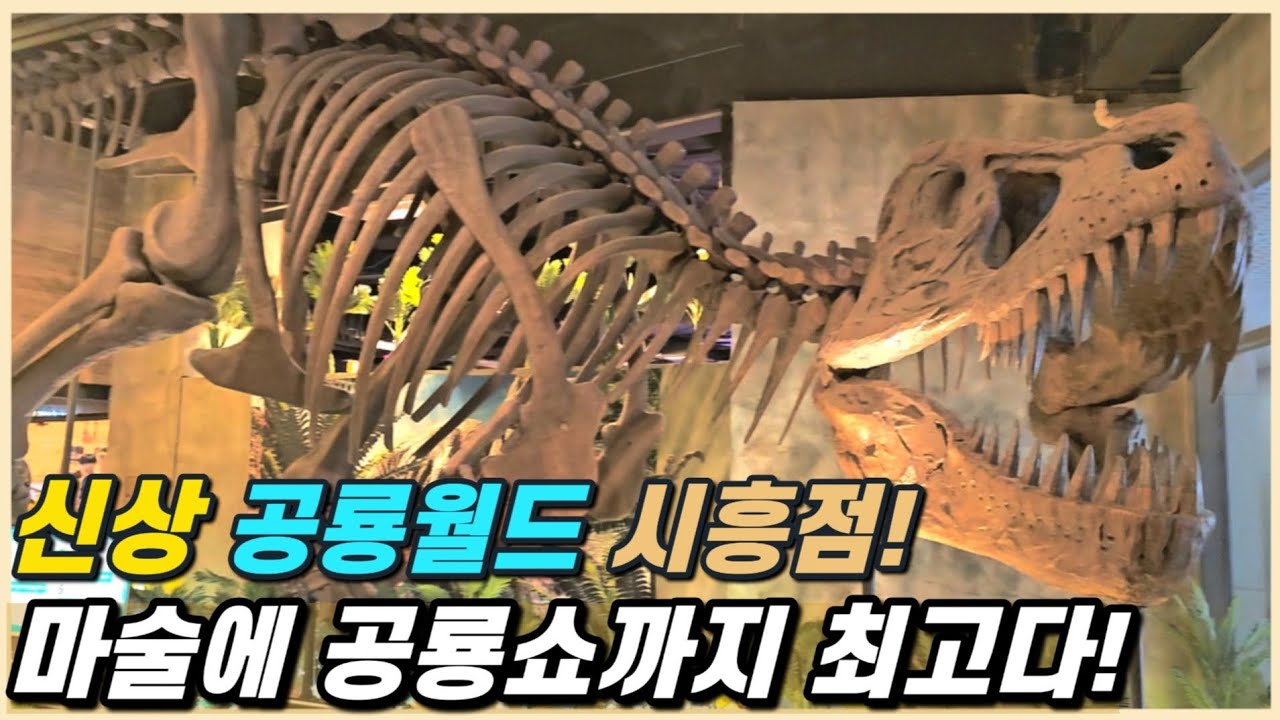 아이랑 갈만한곳 신상 공룡월드 시흥점 다녀왔어요! 공룡 끝판왕🦖 마술쇼 공룡쇼🦕