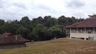 RGS NPCC Year 4 Double Flying Fox 2