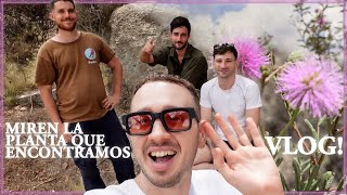 ¡Cuidado! Plantas Raras en las Montañas de Córdoba🌸 #VLOG