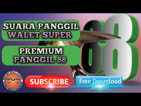 best-calling-voice---premium-dial-88