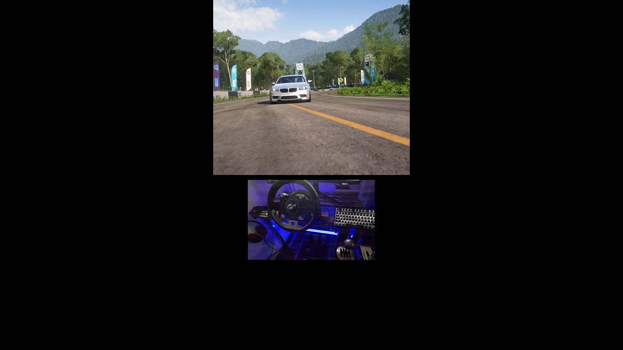 Forza Horizon 5 Live steering wheel