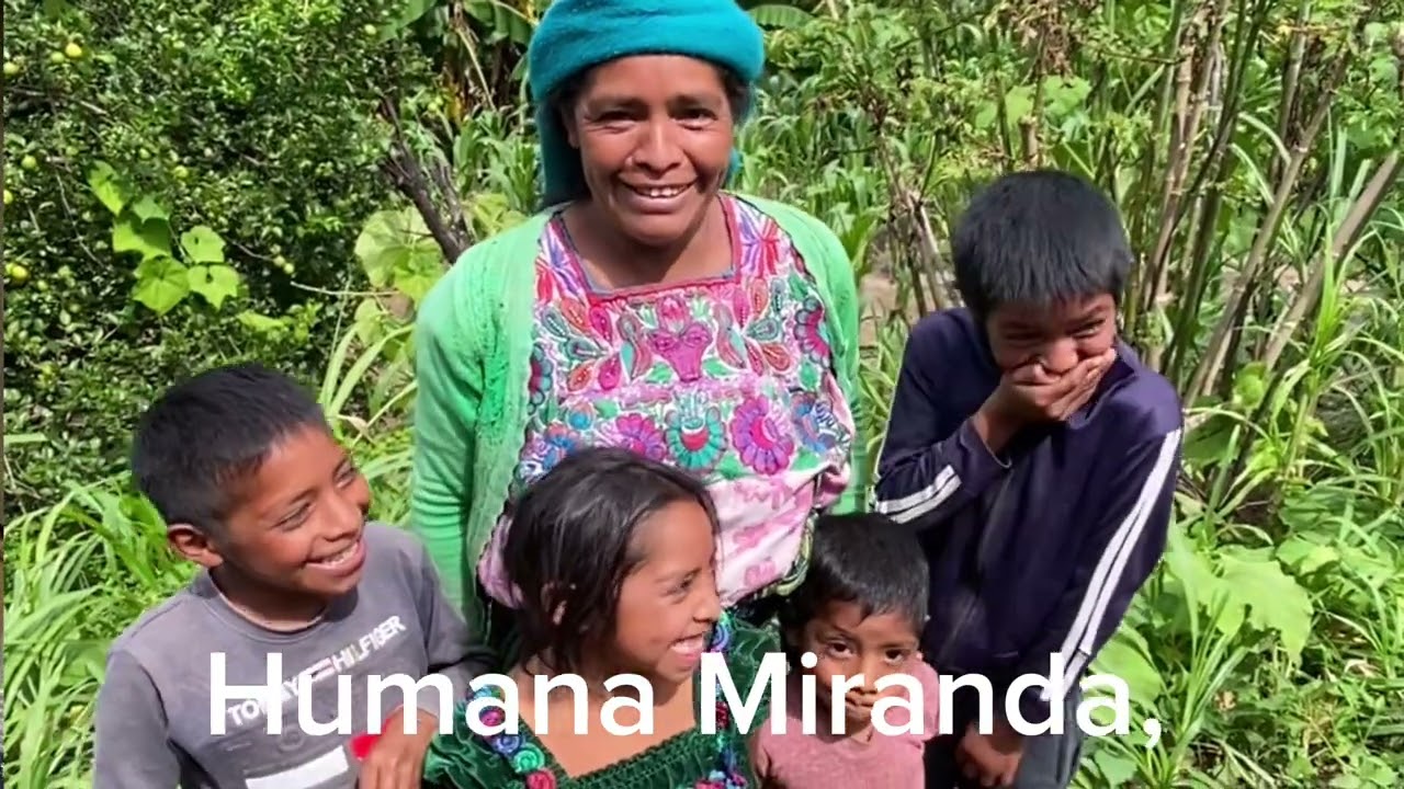 Høring i Stortingets Utenriks- og forsvarskomité for Statsbudsjett 2026