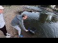 End of video