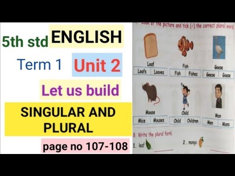 5th std English
