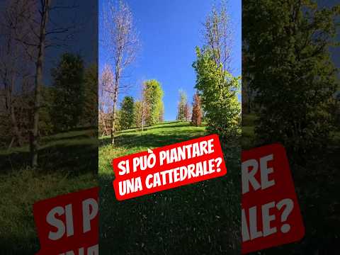 Video La cattedrale che sta svanendo nel nulla