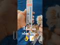 Innovative idea for a better future#flair#mechanicalpencil#treeprotection#innovation#forestry