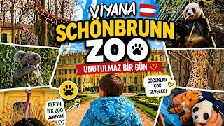Schönbrunn Zoo 21 Aylık Bebekle | Tam Gün Gezisi | Viyana