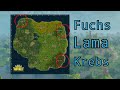 Krebs Fortnite