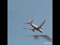 Air India AI 150 landing at Cochin Airport.