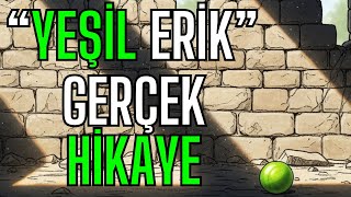 Bu Yeşil Erik Hepinizi Ağlatacak Resimi