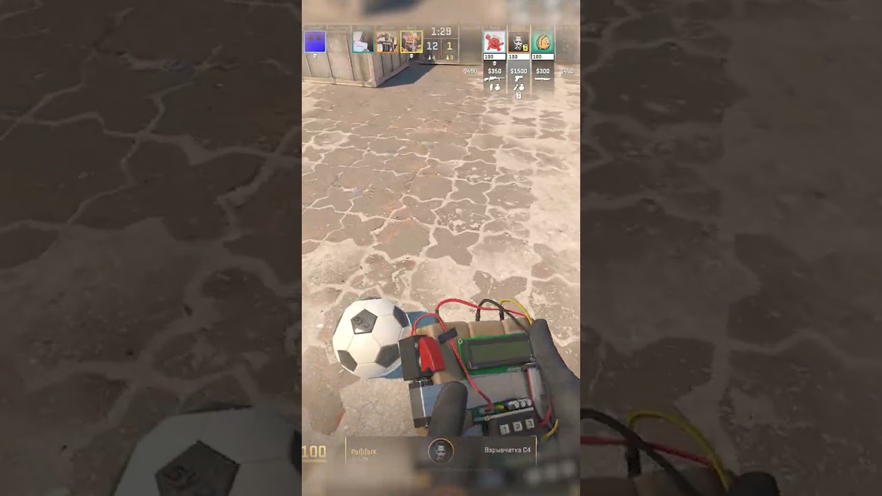 кратко о моих тиммейтах? 