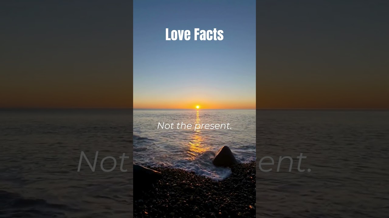 You Stayed for the Memories — Not the Love