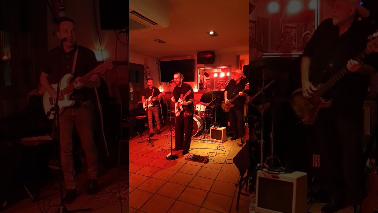 The Ozdemirs - SaliendoYA