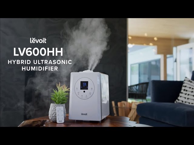 Levoit Smart Warm and Cool Mist Humidifier for Room, 6L Top Fill Air  Vaporizer for Large Rooms, LV600s, White