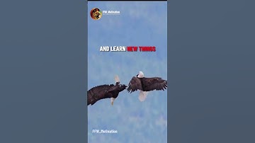 🔥Soar Beyond Limits🔥🦅/Must watch this😍👌/Motivational quote/#viralmotivationalshort #youtubeshort