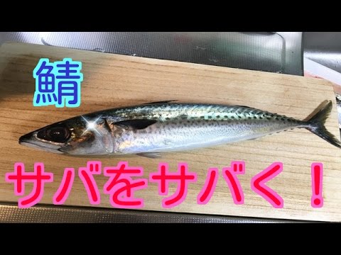 鯖の捌き方 塩焼き用のカット Youtube