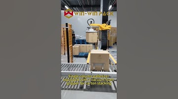 Single column palletizer equipped with a vacuum foam gripper for carton stacking #palletizer #shorts